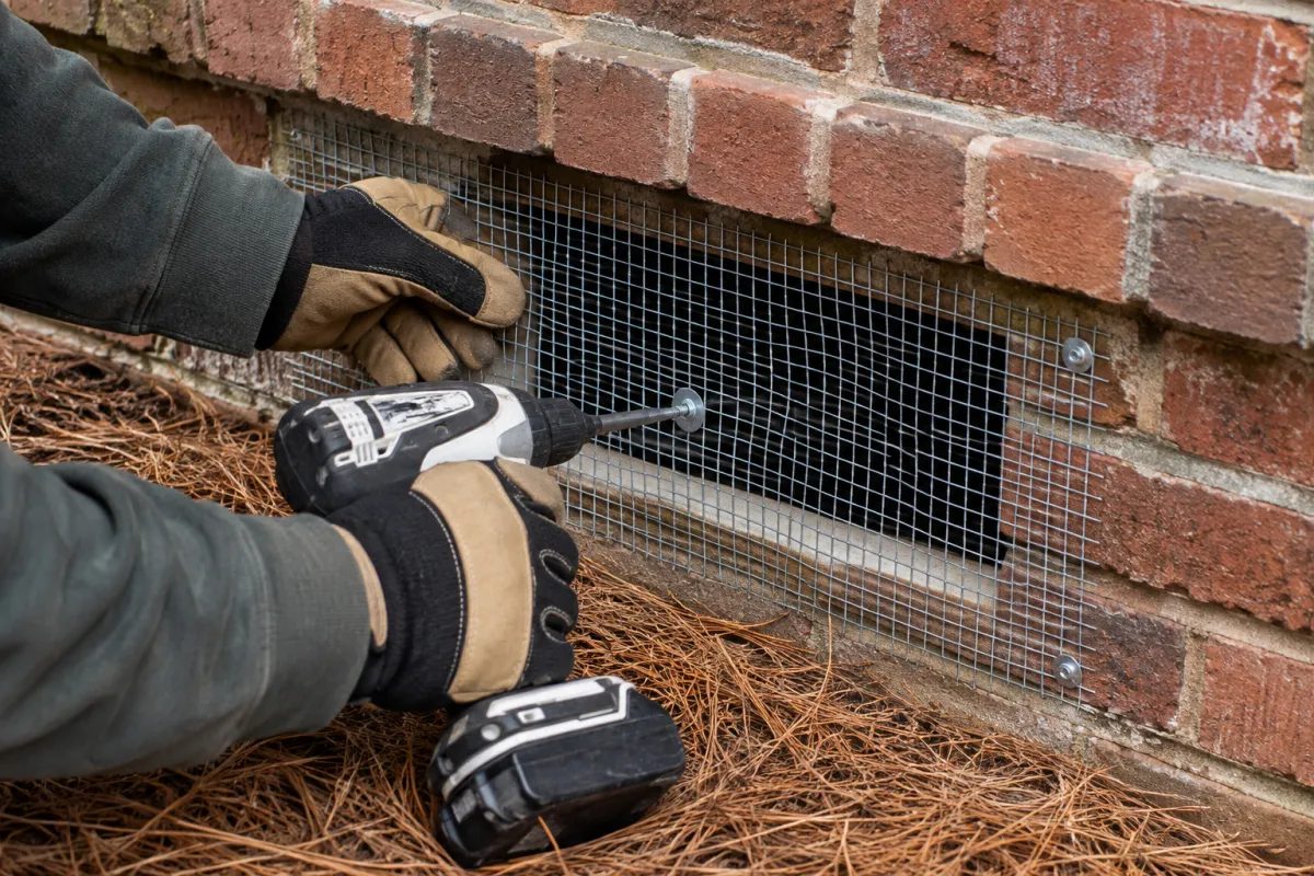 Galvanized mesh being fastened over a vent opening on a Columbia house during a bat exclusion